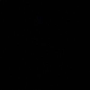 Meet your Posher, Sean